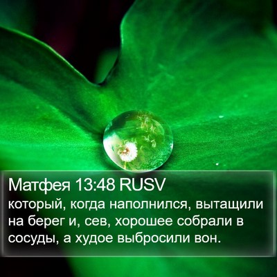 Матфея 13:48 RUSV Bible Verse Image