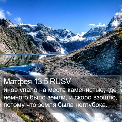 Матфея 13:5 RUSV Bible Verse Image