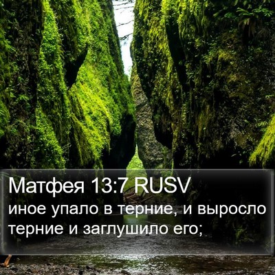 Матфея 13:7 RUSV Bible Verse Image