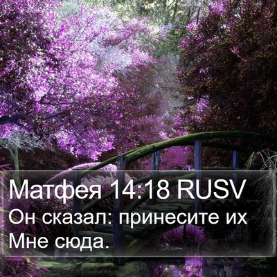 Матфея 14:18 RUSV Bible Verse Image