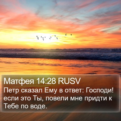 Матфея 14:28 RUSV Bible Verse Image