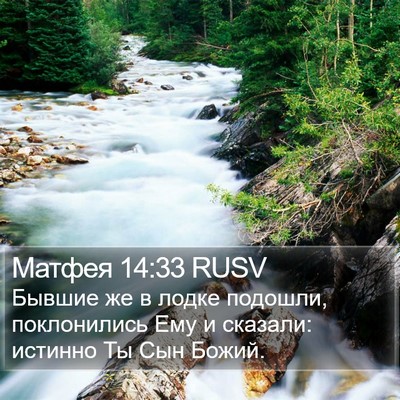 Матфея 14:33 RUSV Bible Verse Image