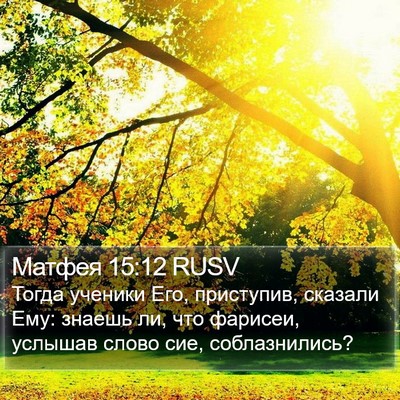 Матфея 15:12 RUSV Bible Verse Image