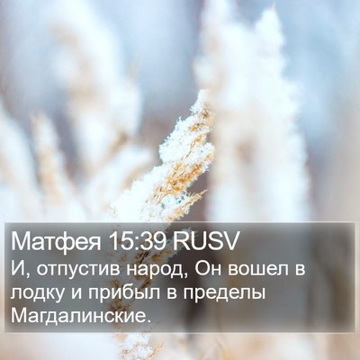 Матфея 15:39 RUSV Bible Verse Image