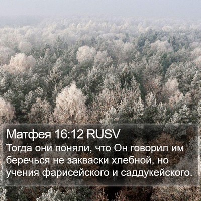 Матфея 16:12 RUSV Bible Verse Image