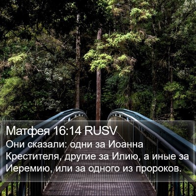 Матфея 16:14 RUSV Bible Verse Image