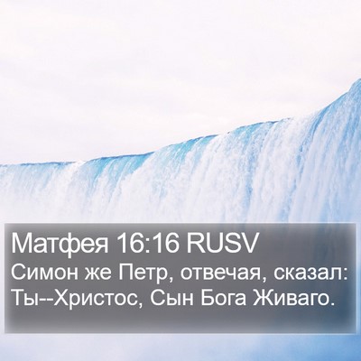 Матфея 16:16 RUSV Bible Verse Image