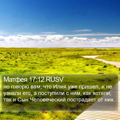 Матфея 17:12 RUSV Bible Verse Image
