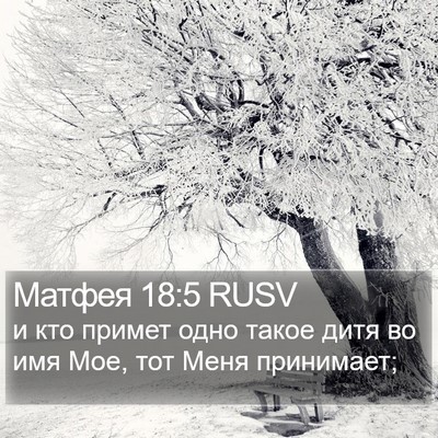 Матфея 18:5 RUSV Bible Verse Image