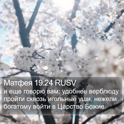 Матфея 19:24 RUSV Bible Verse Image