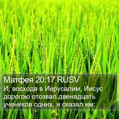 Матфея 20:17 RUSV Bible Verse Image