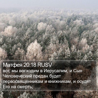 Матфея 20:18 RUSV Bible Verse Image