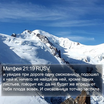 Матфея 21:19 RUSV Bible Verse Image