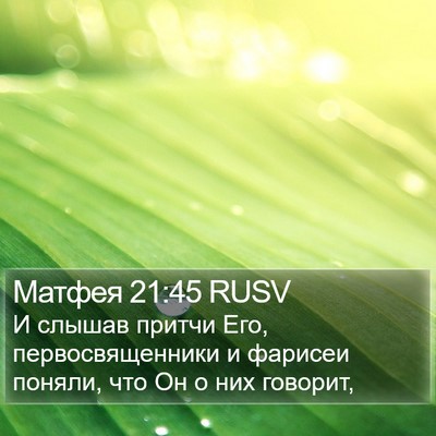 Матфея 21:45 RUSV Bible Verse Image