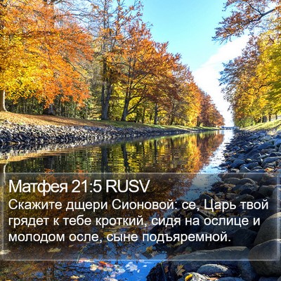 Матфея 21:5 RUSV Bible Verse Image