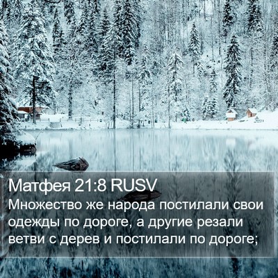 Матфея 21:8 RUSV Bible Verse Image