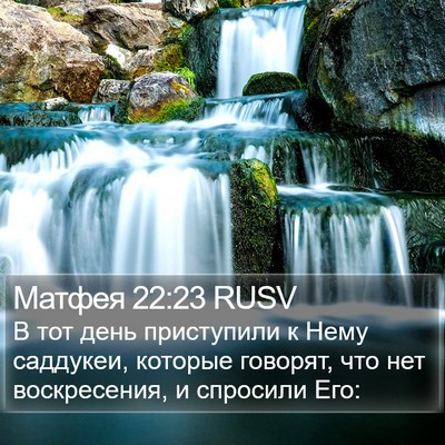 Матфея 22:23 RUSV Bible Verse Image