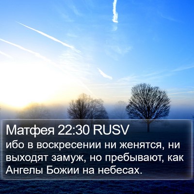 Матфея 22:30 RUSV Bible Verse Image