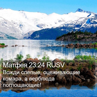 Матфея 23:24 RUSV Bible Verse Image