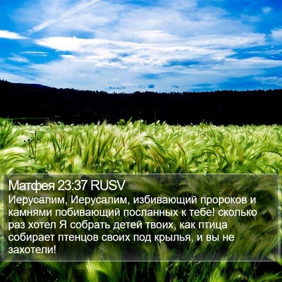 Матфея 23:37 RUSV Bible Verse Image