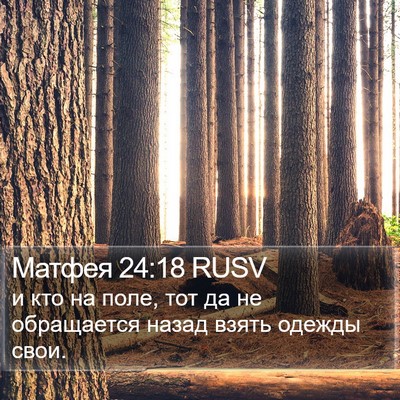 Матфея 24:18 RUSV Bible Verse Image