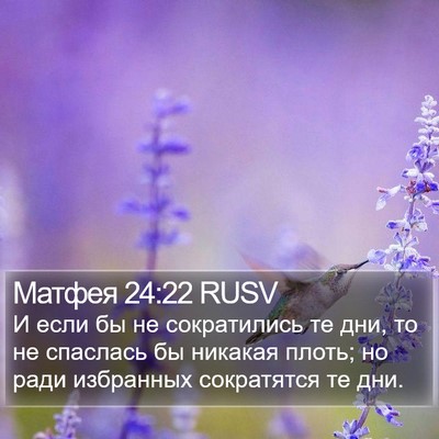 Матфея 24:22 RUSV Bible Verse Image