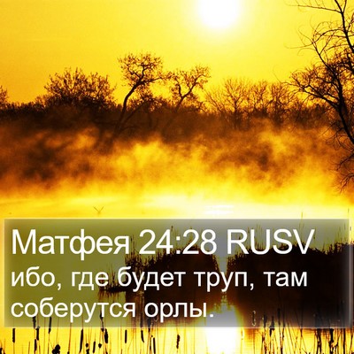 Матфея 24:28 RUSV Bible Verse Image
