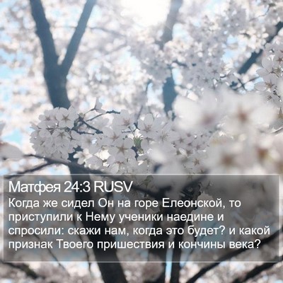 Матфея 24:3 RUSV Bible Verse Image