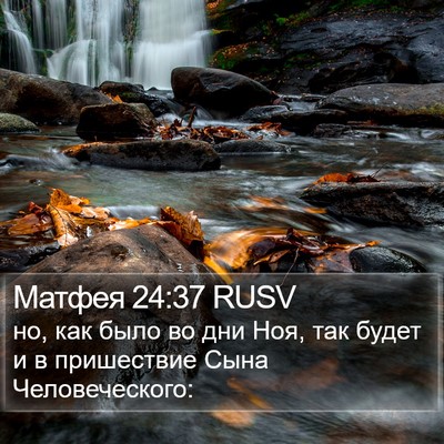 Матфея 24:37 RUSV Bible Verse Image