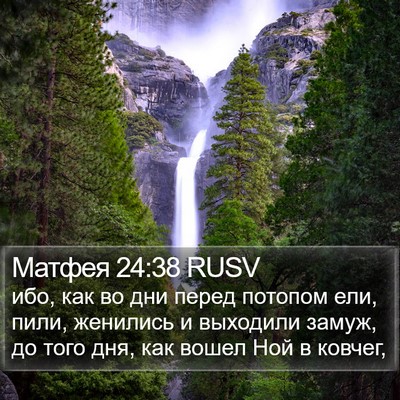 Матфея 24:38 RUSV Bible Verse Image