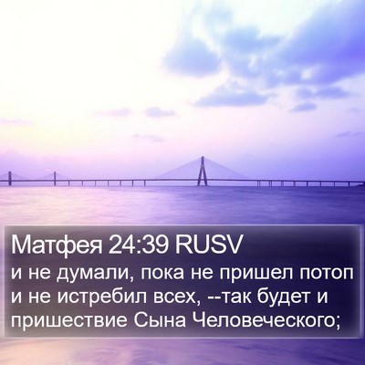 Матфея 24:39 RUSV Bible Verse Image