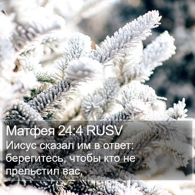 Матфея 24:4 RUSV Bible Verse Image