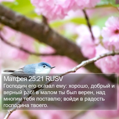 Матфея 25:21 RUSV Bible Verse Image