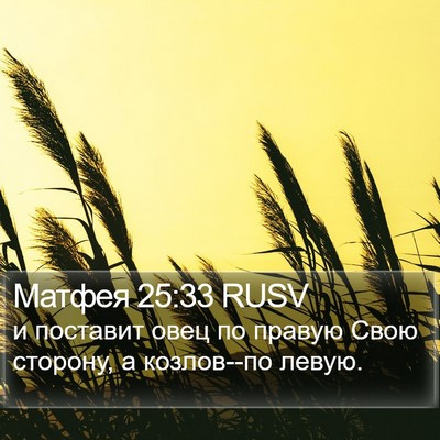 Матфея 25:33 RUSV Bible Verse Image