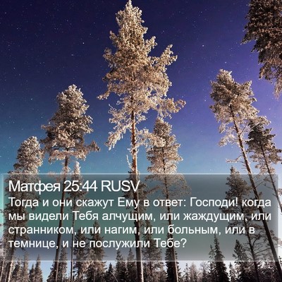 Матфея 25:44 RUSV Bible Verse Image