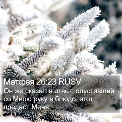 Матфея 26:23 RUSV Bible Verse Image