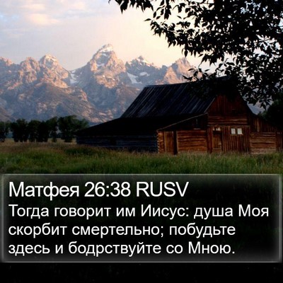 Матфея 26:38 RUSV Bible Verse Image