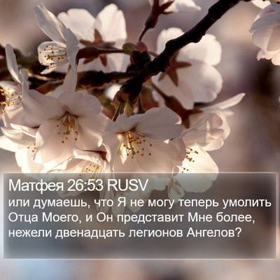 Матфея 26:53 RUSV Bible Verse Image