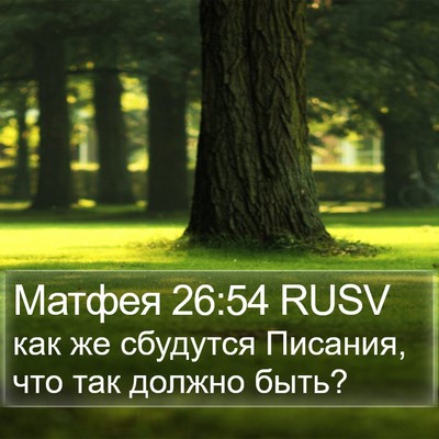 Матфея 26:54 RUSV Bible Verse Image