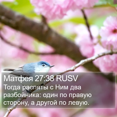 Матфея 27:38 RUSV Bible Verse Image
