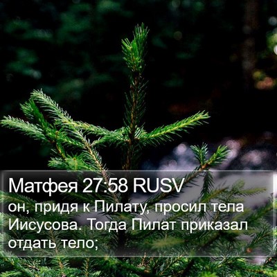 Матфея 27:58 RUSV Bible Verse Image