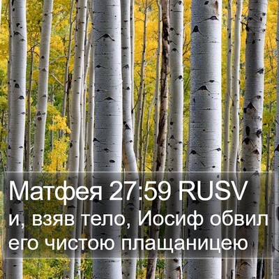 Матфея 27:59 RUSV Bible Verse Image