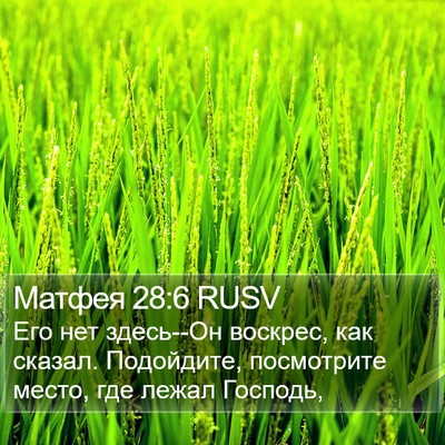 Матфея 28:6 RUSV Bible Verse Image