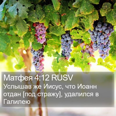 Матфея 4:12 RUSV Bible Verse Image