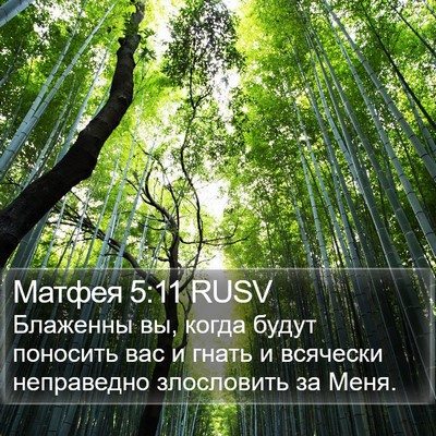 Матфея 5:11 RUSV Bible Verse Image