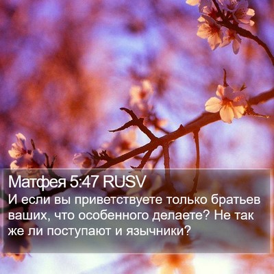Матфея 5:47 RUSV Bible Verse Image
