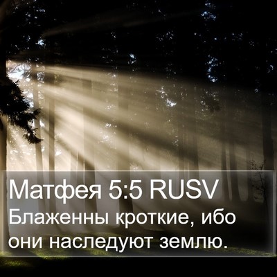 Матфея 5:5 RUSV Bible Verse Image