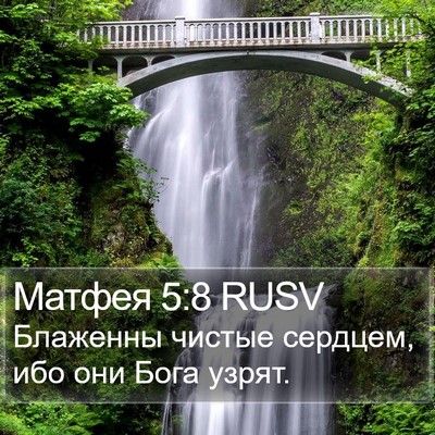 Матфея 5:8 RUSV Bible Verse Image