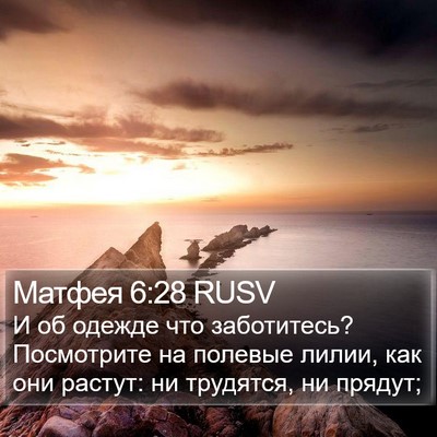 Матфея 6:28 RUSV Bible Verse Image