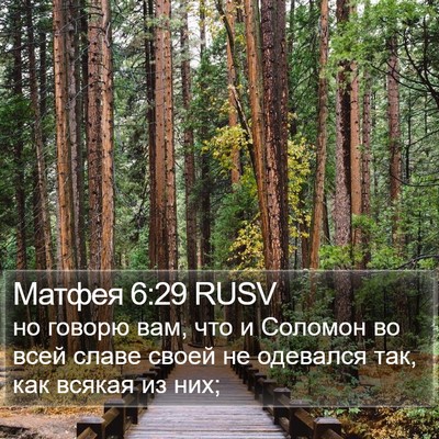 Матфея 6:29 RUSV Bible Verse Image